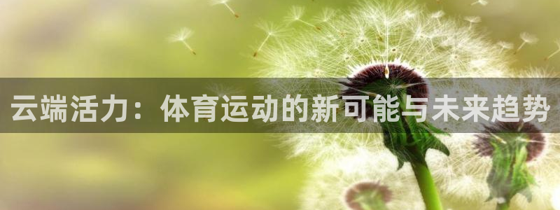 vsport体育在线官网