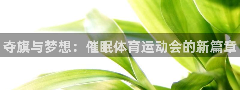 vsport体育在线官网